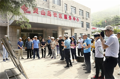 青岛首个生态修复示范工程 灵山岛项目（一期）综合验收通过