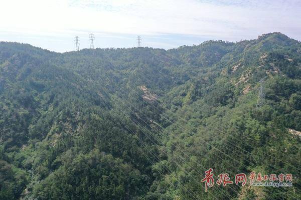 传统电网转型升级 青岛建成国内最大规模5G智能电网