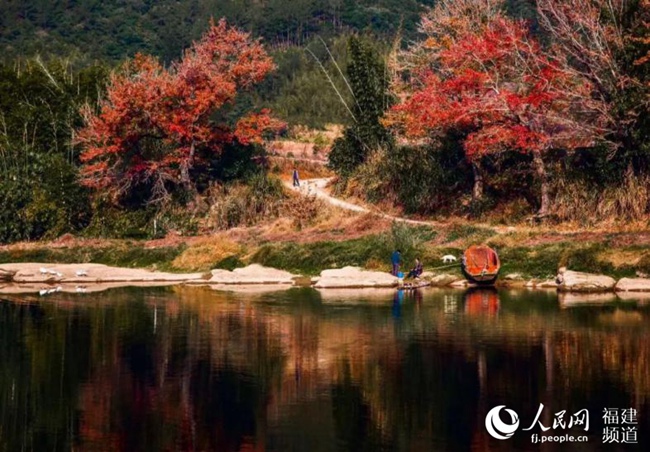 20200717101114147.jpg LOCAL202007161433000091809140398.jpg