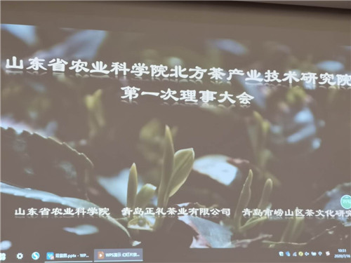 山东省农业科学院北方茶产业技术研究院成功举办第一次理事会暨崂山茶产业发展研讨会