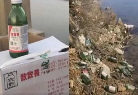 “敌敌畏”养海参 遭315曝光！