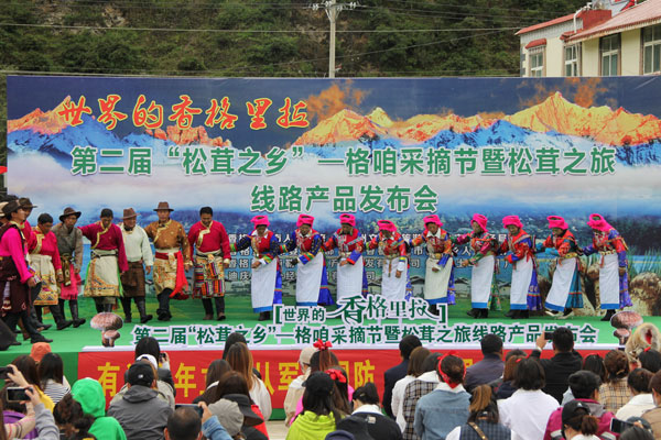 20200720095827302.jpg 1126259108_15952048876901n.jpg