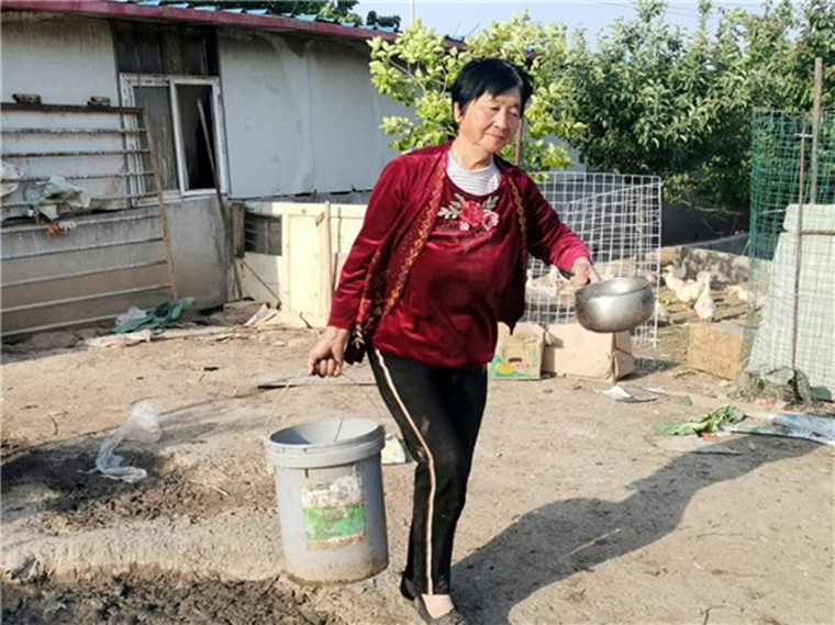 花甲老妇重披“战衣”走上致富路