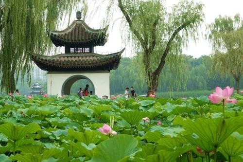 北京市属公园游览场所全面开放