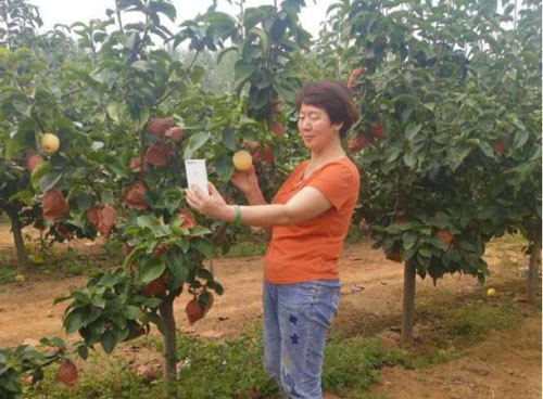 20200722094520527.jpg 2.jpg