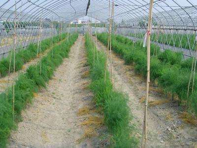 产业扶贫的“内蒙古答卷”