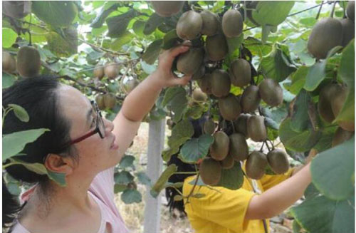 山东淄博淄川区太河镇因户施策 构建“引扶帮包”扶贫新机制