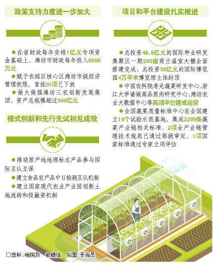 山东潍坊：大棚玩起高科技 农业闯出新天地 