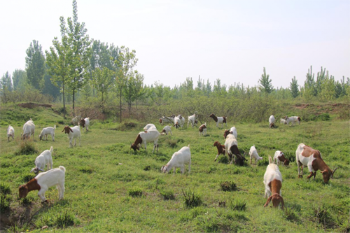 20200727105937172.png 2.png