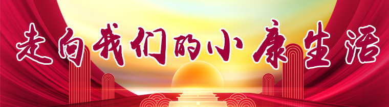 下足绣花功夫 决战脱贫攻坚  临沂市绣好医保扶贫新画卷