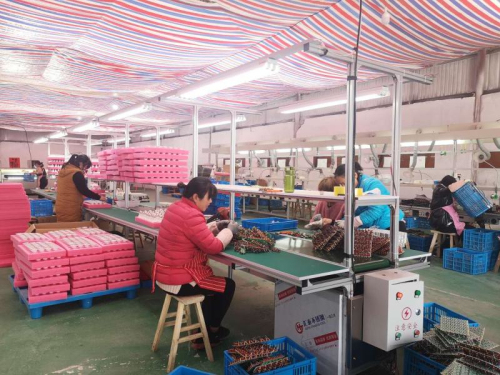 筑巢引凤| 兰陵镇盘活“低效”用地 打通“富民强镇”路