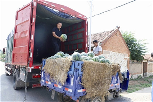 2万公斤西瓜订单交到贫困户手中