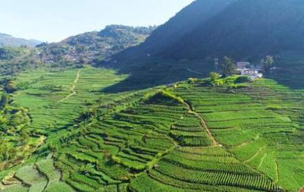 云南保山累计减贫38万人 413个贫困村全部脱贫