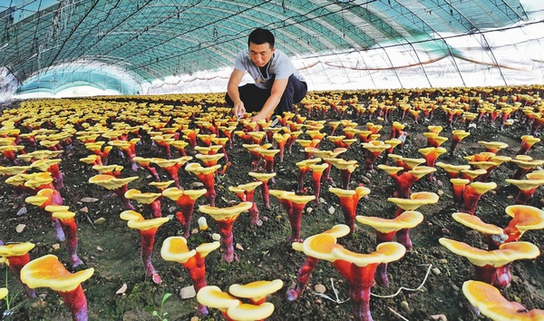 20200802085631819.jpg LOCAL202008020753000145097066766.jpg