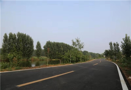 薛城区常庄街道——建设四好农村路 织密乡村振兴网