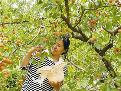 西海岸新区村民杨秀兰为乡邻提供150多个就业岗位