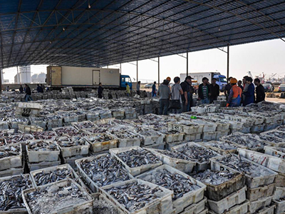 上半年福建省水产品总产量 达411.82万吨