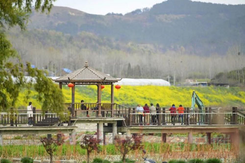 河南省桐柏县磨沟村：讲好革命老区贫困山村脱贫攻坚的红色故事