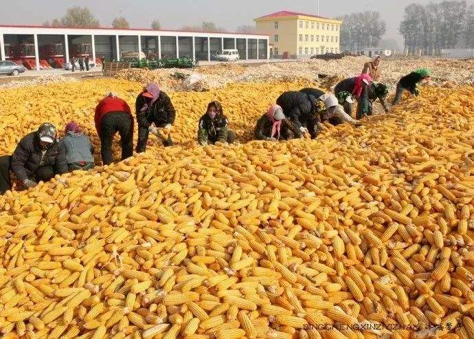 黑龙江省上半年农民经营净收入增长31.4%