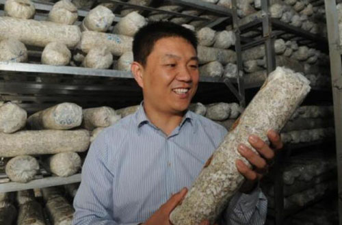 山东淄博淄川区打造智慧农业 小蘑菇逆势增长销世界