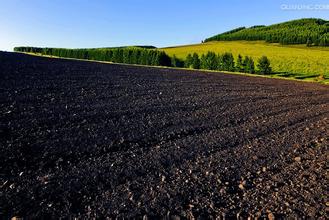 黑龙江省已有二十县试点黑土耕地保护