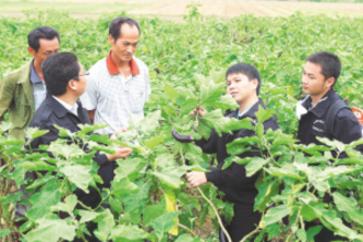 黑龙江齐齐哈尔：“小项目”激发致富“大引擎”