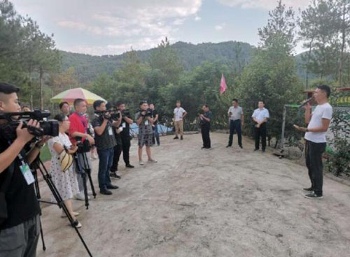 20200828170539572.jpg 2.jpg