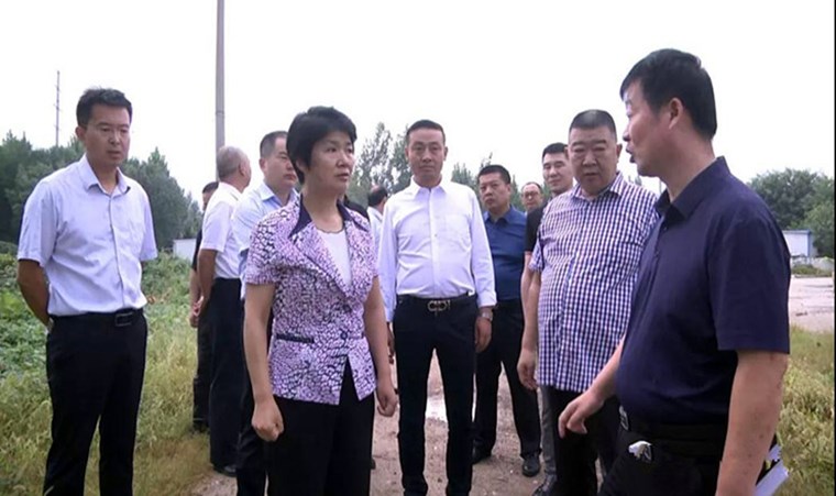 梁惠民调研洲业国际汽车城项目建设情况