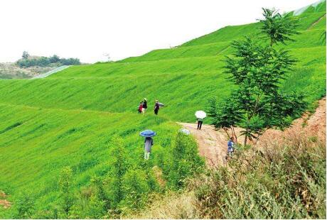 福建省发布一批生态环境项目成果 发布会上签约项目总投资达670亿元
