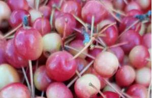 风吹一片叶  万物已惊秋