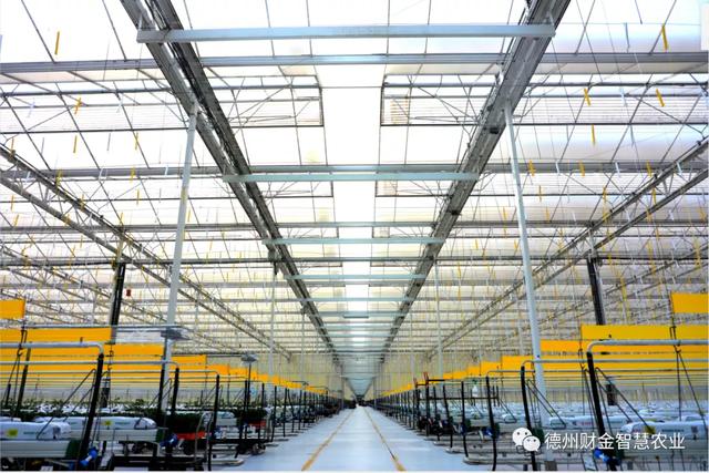 亚洲单体面积最大的智慧温室定植啦