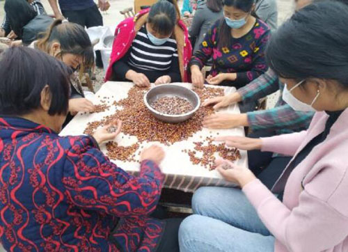 20200914104743564.jpg 2.jpg