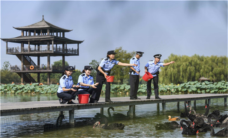 枣庄公安为候鸟迁徙打造绿色安全通道