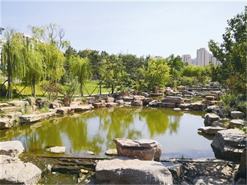 “以前是‘垃圾场’，现在成了休闲公园”