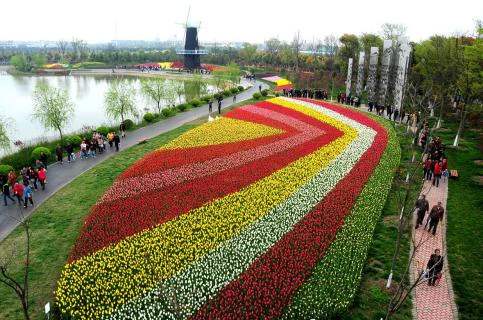 2020年上海休闲农业和乡村旅游特色线路公布