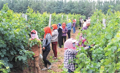 20200917103909147.jpg LOCAL202009160849000207429710663.jpg