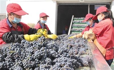 20200917103921419.jpg LOCAL202009160849000306078991331.jpg