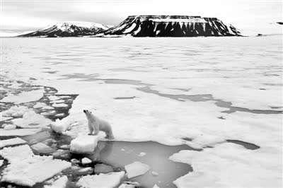 30年升温10℃ “新北极”正在形成