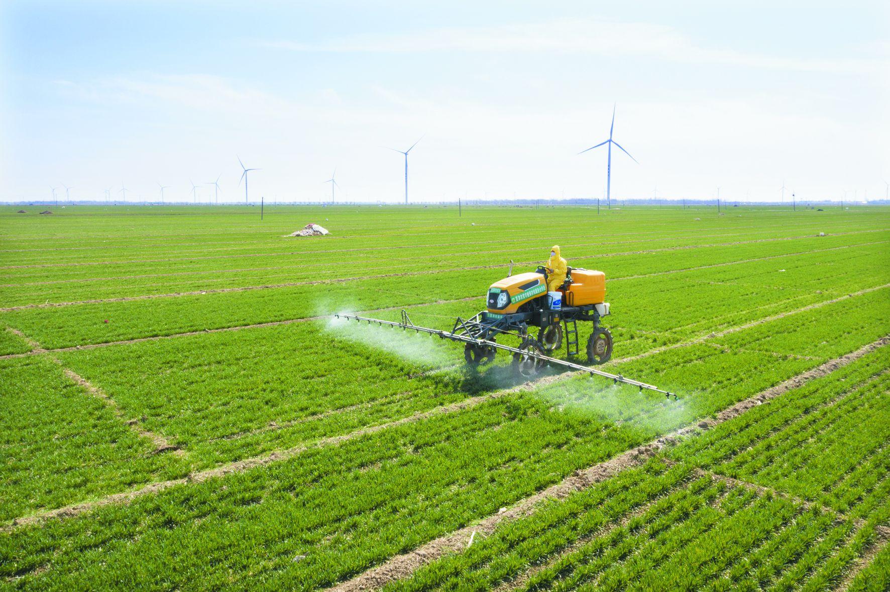 粮食产能稳定 粮食安全有保障 德州市坚持不懈推动