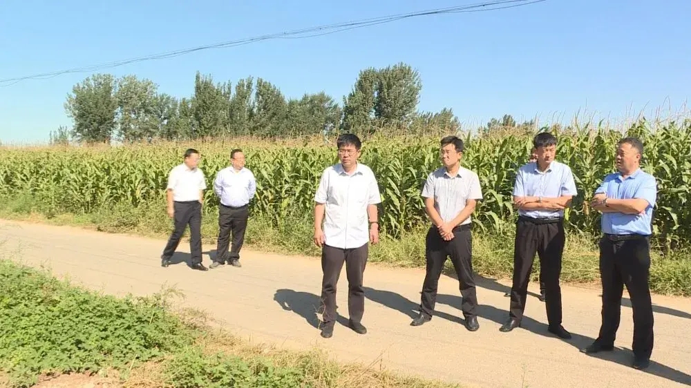 为民｜德州运河新区迅速行动，解决群众的烦心事