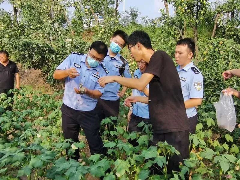 刑事犯罪丨武城两男子私自架设捕鸟粘网非法狩猎，近百只小鸟惨遭“毒手”！