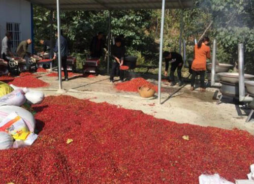 河南南召乔端镇：产业扶贫筑根基，乡村振兴乘风起