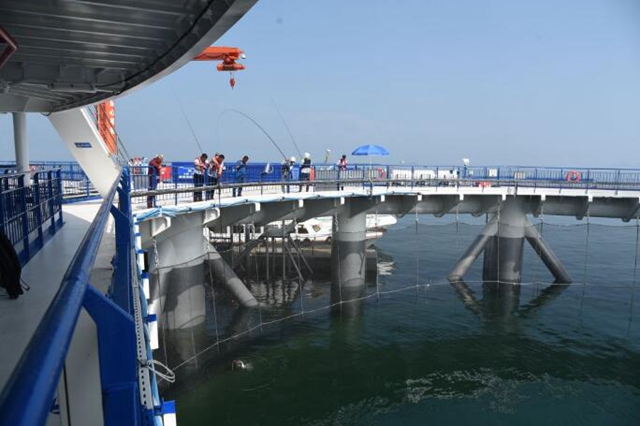 科技养鱼：海上崛起“沃野良田” 