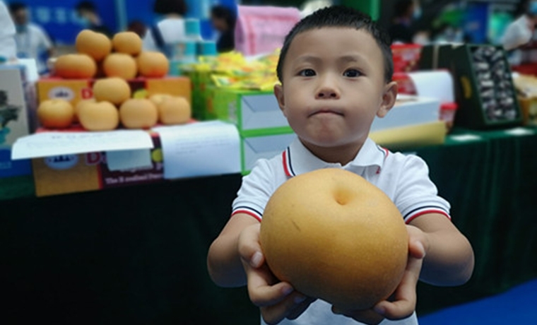 【视觉】兰陵丰收节