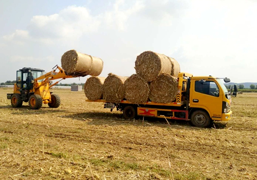 郯城县泉源镇：密织秋季秸秆禁烧“防护网”