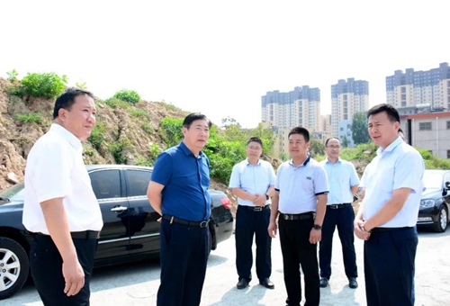 郯城县委书记刘连栋现场办公，推进东北片区建设