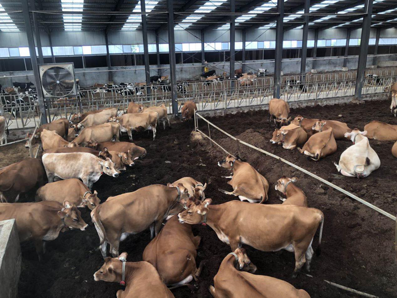 潍坊国家农综区玉泉洼：为农业插上科技的翅膀，还得让翅膀动起来！