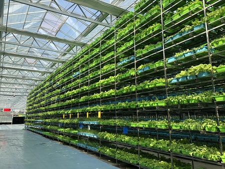 内生动能促进乡村振兴 产业融合助推经济发展