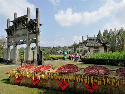 歙县：皖南古村牌坊群仓廪丰实喜晒秋