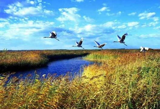 黑龙江省自然保护地整合优化 剔除“重叠”144.95万公顷